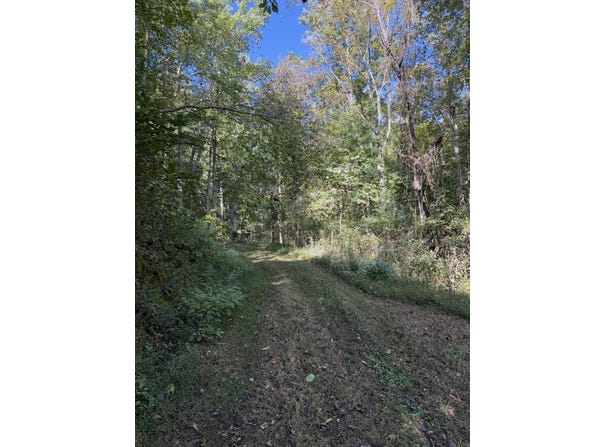 Theo Proffitt Road, Manchester, KY 40962