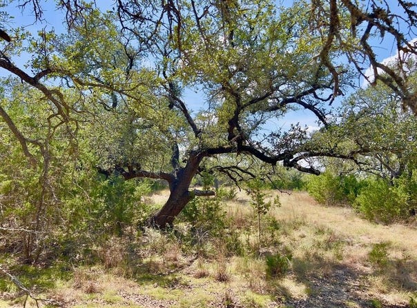 992, Blanco, TX 78606
