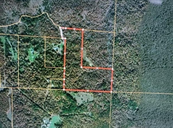 County Road 434, Birch Tree, MO 65438