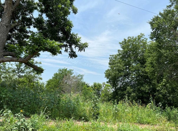 225 Knotty Pine Road, Colbert, OK 74733