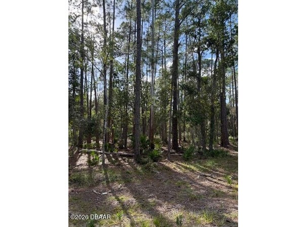 207 Ocala Court, Georgetown, FL 32139