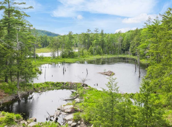 00 Pine Point Road, New Durham, NH 03855