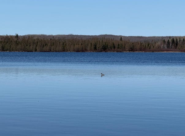 ALLEN RD lot: #4, Crandon, WI 54520