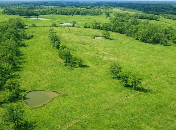 P Highway, Koshkonong, MO 65692