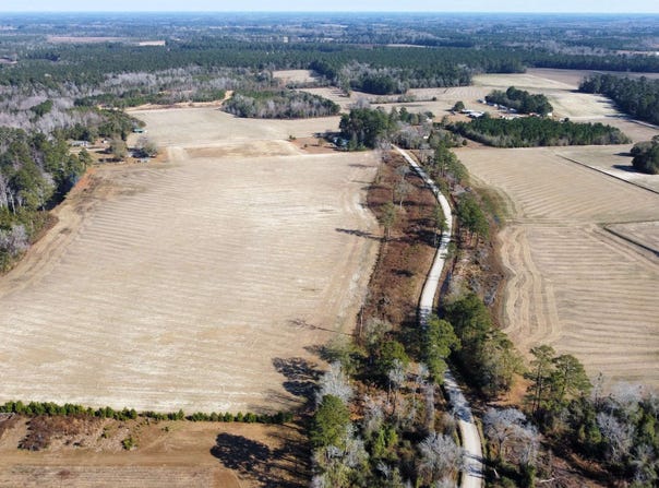 Black Creek Rd., Nichols, SC 29581