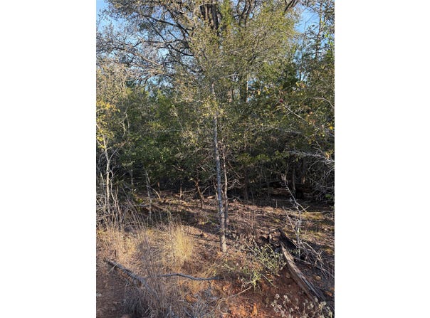 160 Helemano Dr, Bastrop, TX 78602