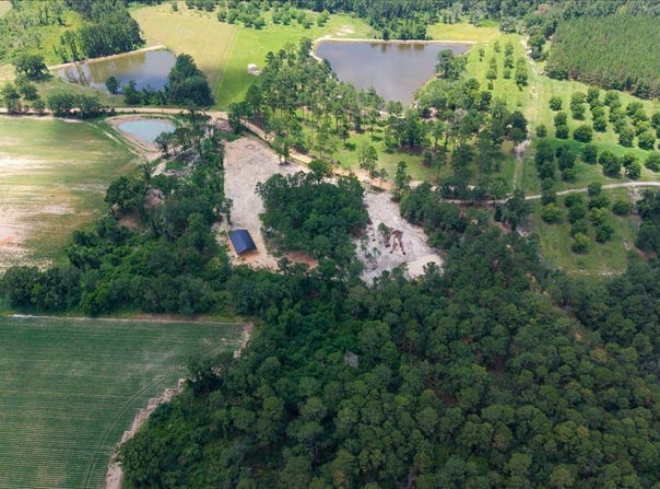 Pittman Road, Cobbtown, GA 30420