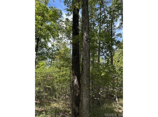 Ross Hollow, Roland, AR 72223