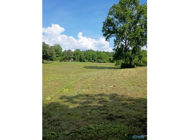 757 Mockingbird Road, Arab, AL 35016