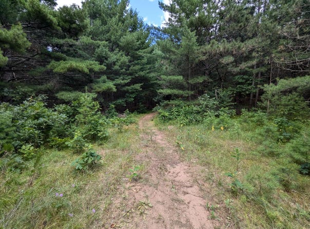 Fosmo lot: 5, Webster, WI 54893