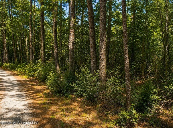 17th Avenue, Franklinton, LA 70438