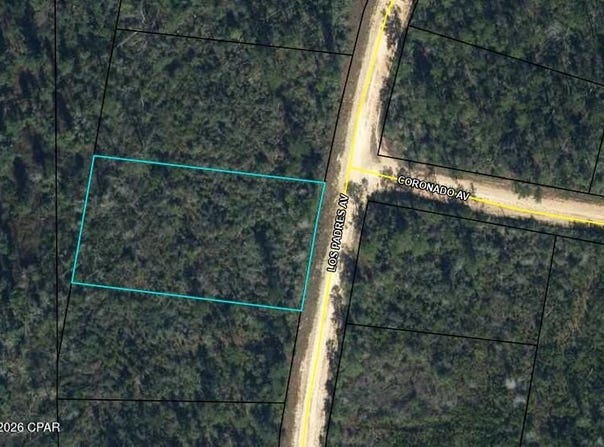 Los Padres Avenue lot: 31, Alford, FL 32420