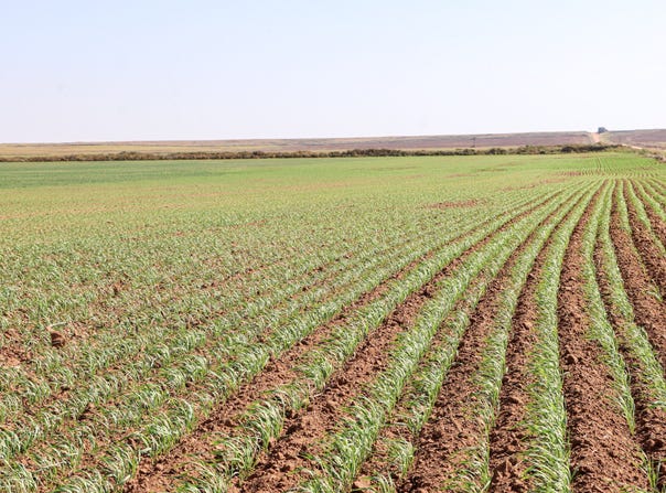 918 NW30RD, Attica, KS 67009