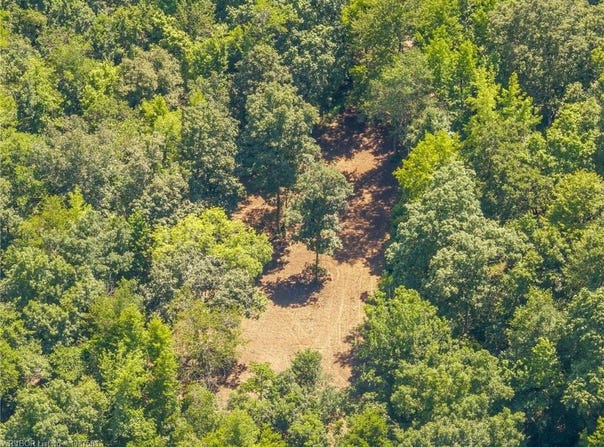 TBD Big Bear Canyon TR lot: 0, Chester, AR 72934