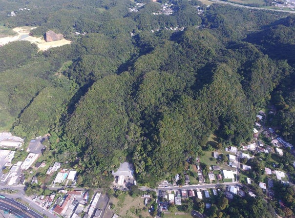 Maguayo, Dorado, PR 00646
