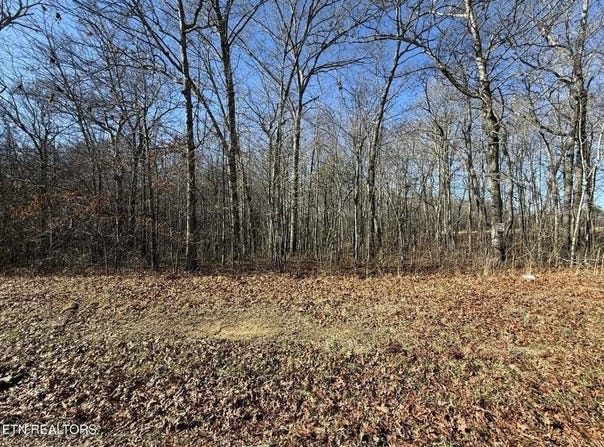 Georgee Rd, Jamestown, TN 38556