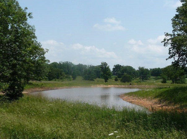 The Timbers, West Plains, MO 65775
