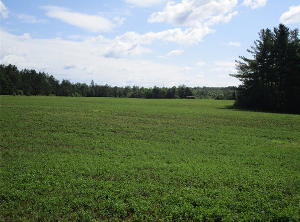 River Pine Drive, Ladysmith, WI 54848