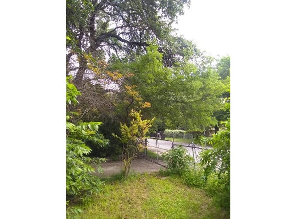 8002 PERSIMMON Trl, Austin, TX 78745
