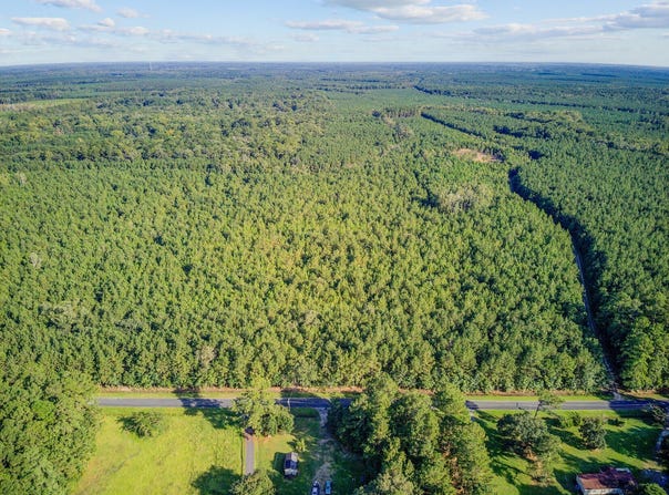 Summers Drive, Ridgeville, SC 29472