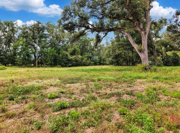 590 NW 20th Ave, Bell, FL 32619