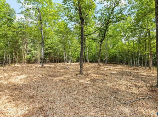 WESLEY CHAPEL RD, FREE UNION, VA 22940