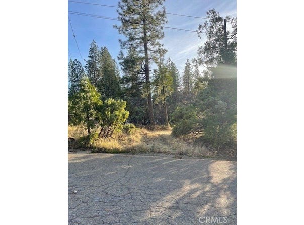 6172 Shad Way, Pollock Pines, CA 95726