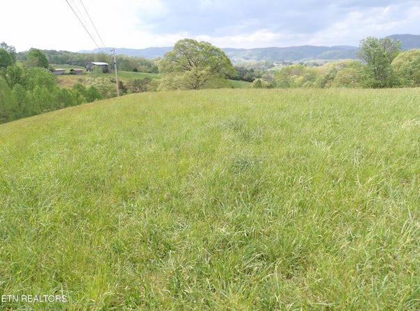 Bolton Hollow Rd, Harrogate, TN 37752