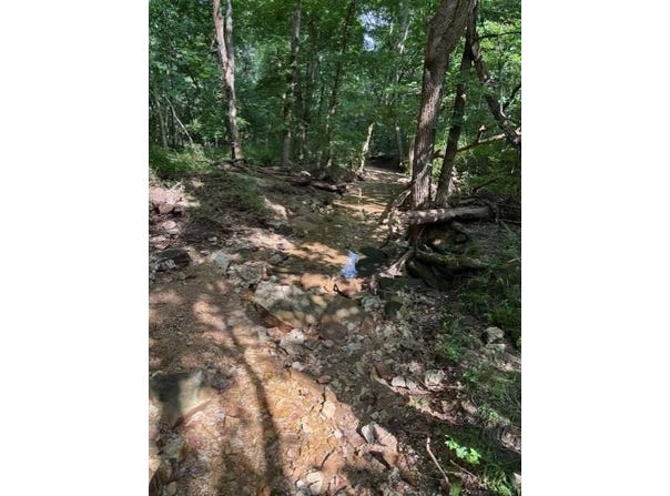 County Road 272, Vanzant, MO 65768