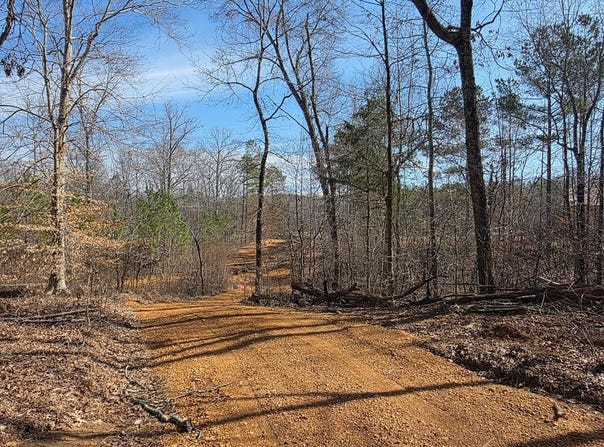 HWY 79 N, BUCHANAN, TN 38222