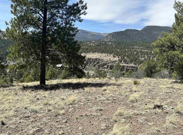 598 N Skyline Drive, South Fork, CO 81154