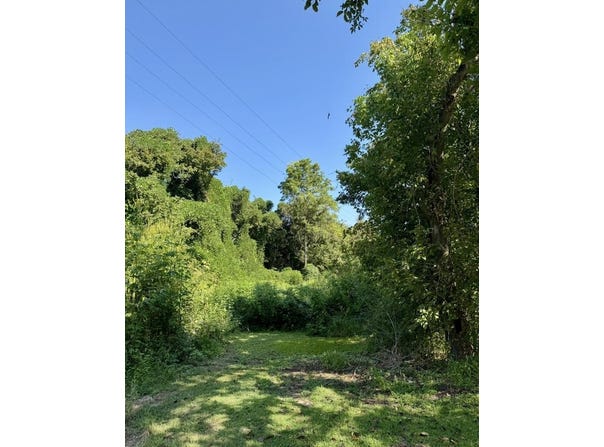 Drift Hollow Road, Drift, KY 41619