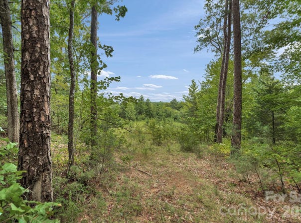 Mountain Road, Cleveland, NC 27013