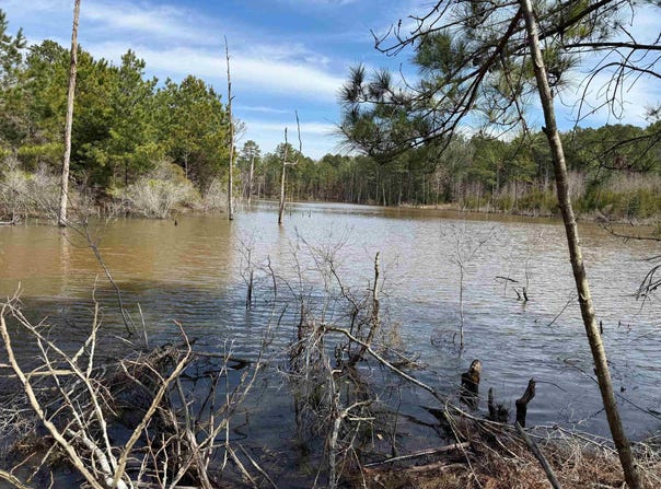 CR 2343 & CR 2339, Douglassville, TX 75560