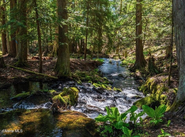 NNA Garfield Bay Rd, Sagle, ID 83860