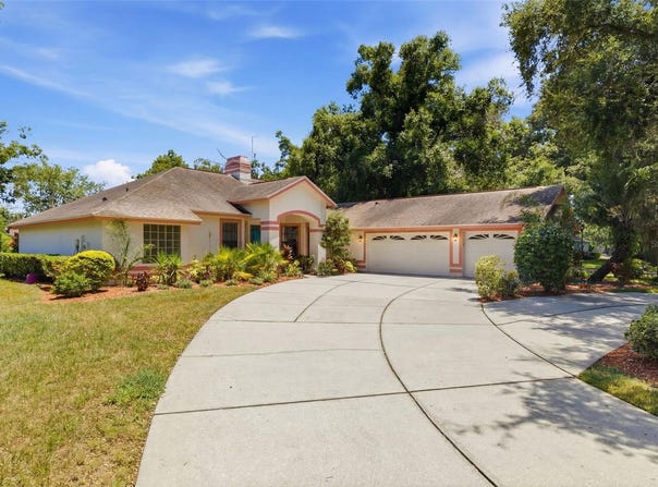 16501 BLENHEIM Drive, LUTZ, FL 33549