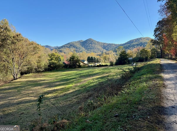 Zoellner Lane, Dillard, GA 30537