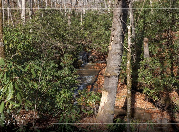 Cullowhee Forest Road lot: 47, Cullowhee, NC 28723