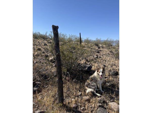 N Bryce - Eden Rd, Eden, AZ 85535