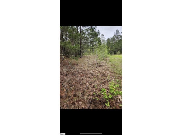 314 Watersedge Drive, Cross Hill, SC 29332