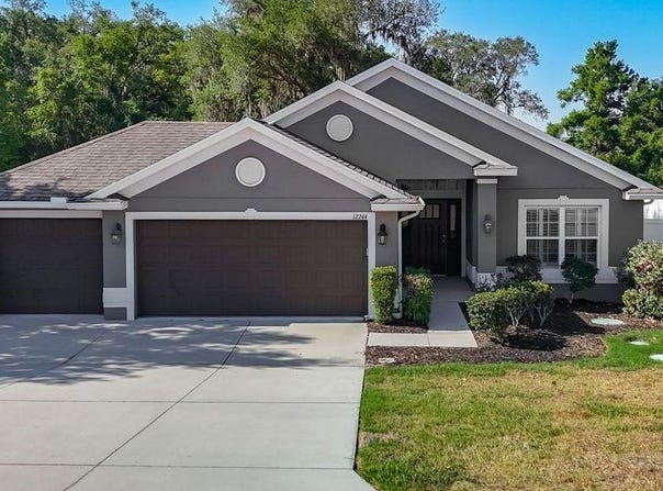 12244 LOOPBACK Drive, SAN ANTONIO, FL 33576