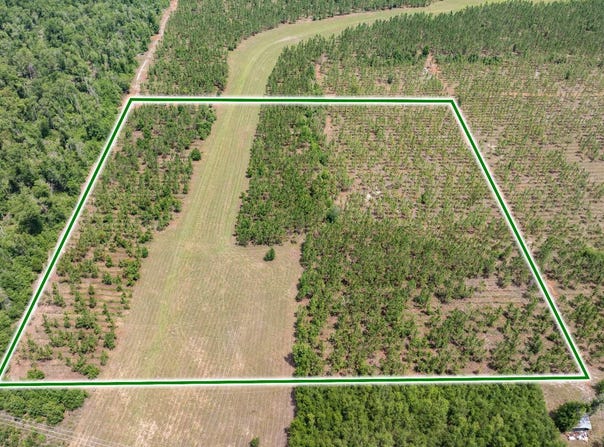 Live Oak, FL 32060