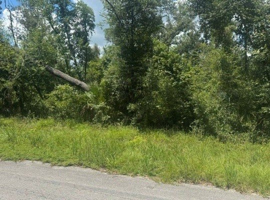 116TH ST lot: 11-12, Dowling Park, FL 32060