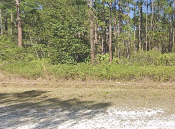 226 TERRI Avenue, GEORGETOWN, FL 32139