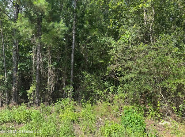 Schrader Court, Saucier, MS 39574