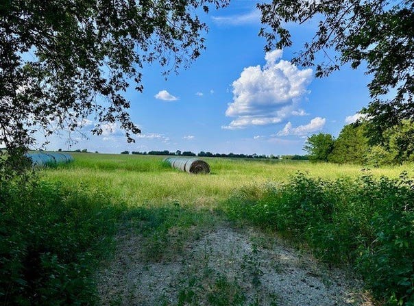 TBD 11ac CR 4805, Bailey, TX 75413
