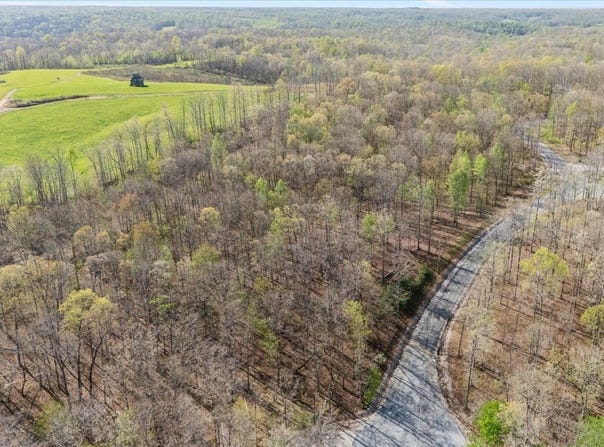 Ridgewood Dr, Mc Ewen, TN 37101