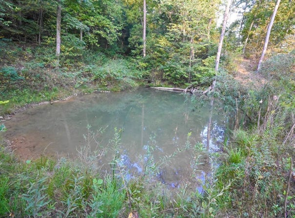 Matney Hollow Rd, Seymour, MO 65746