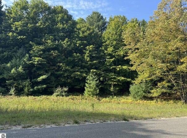 E Old Mountain Road lot: 5, Cedar, MI 49621