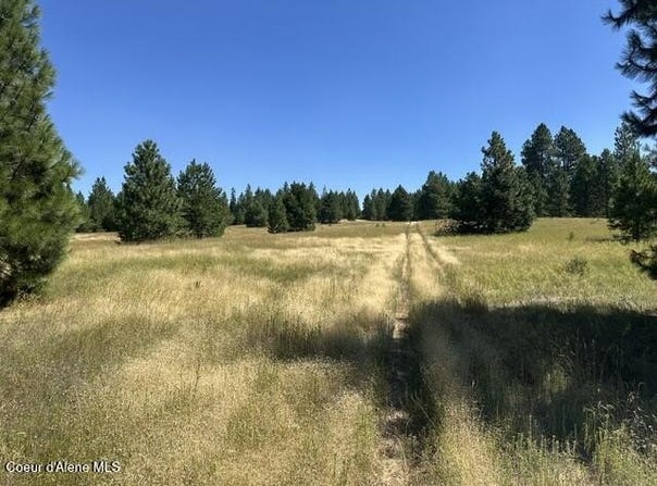 Parcel B Highway 95, Plummer, ID 83851